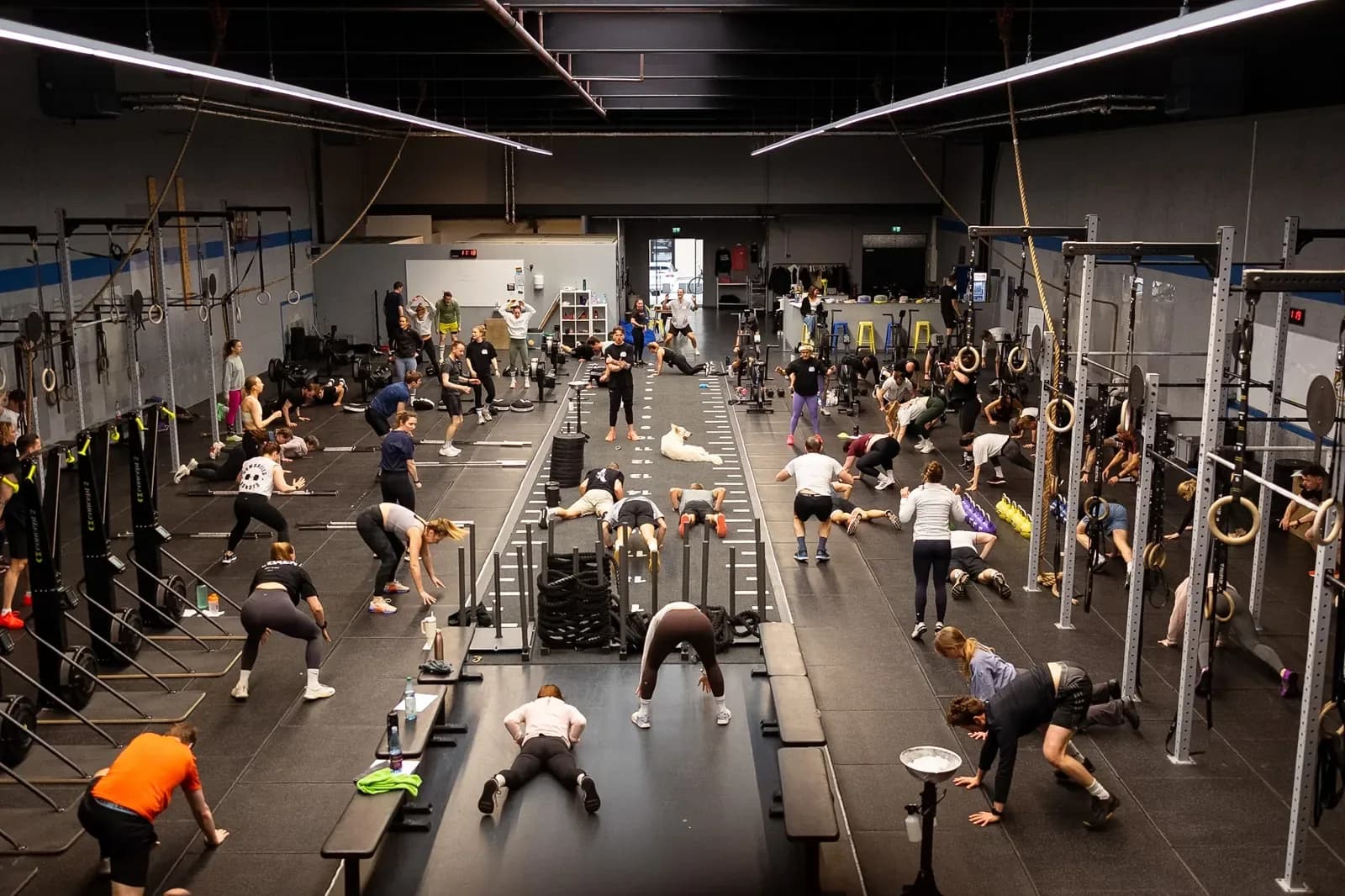 CrossFit 069