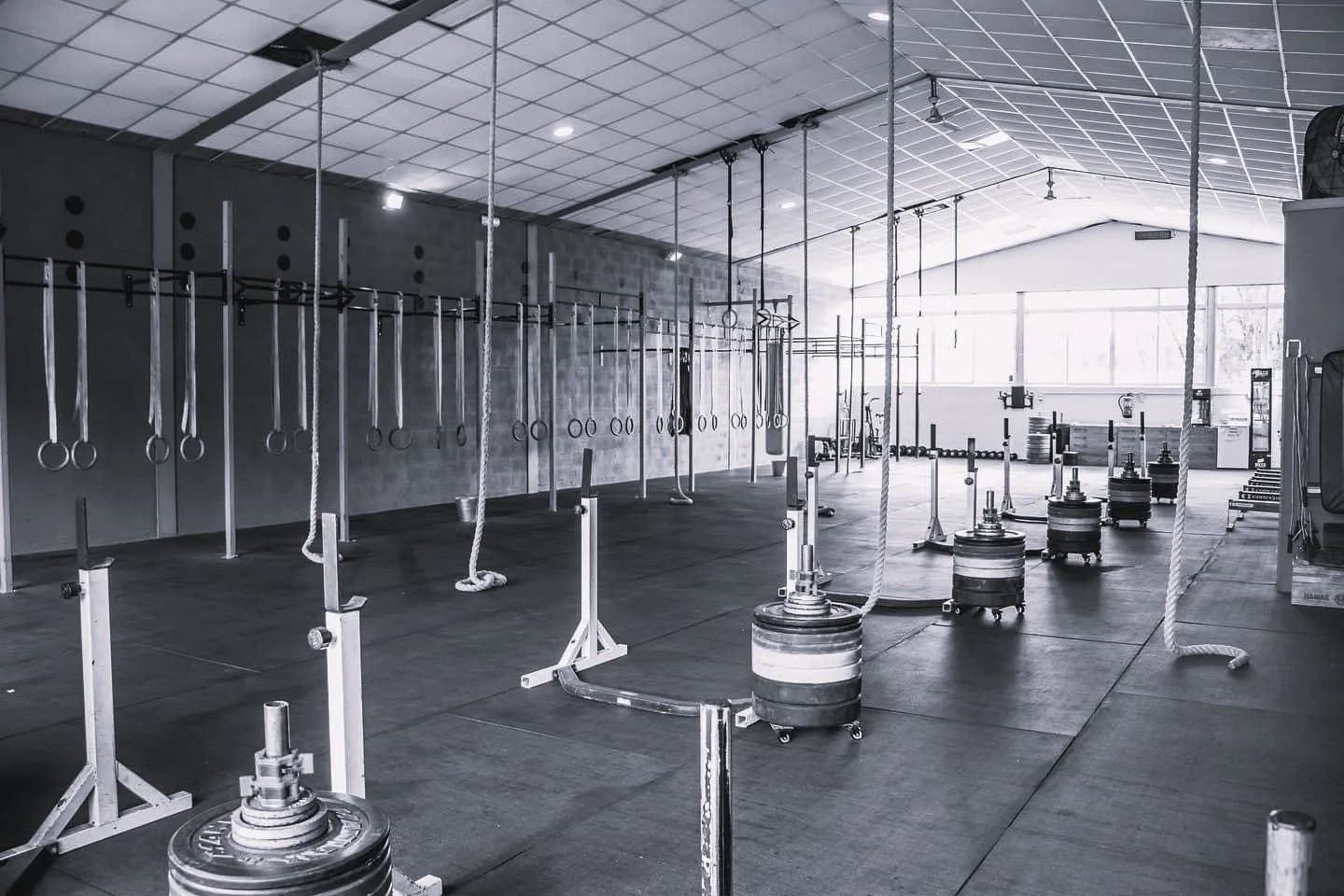 Crossfit Elviria