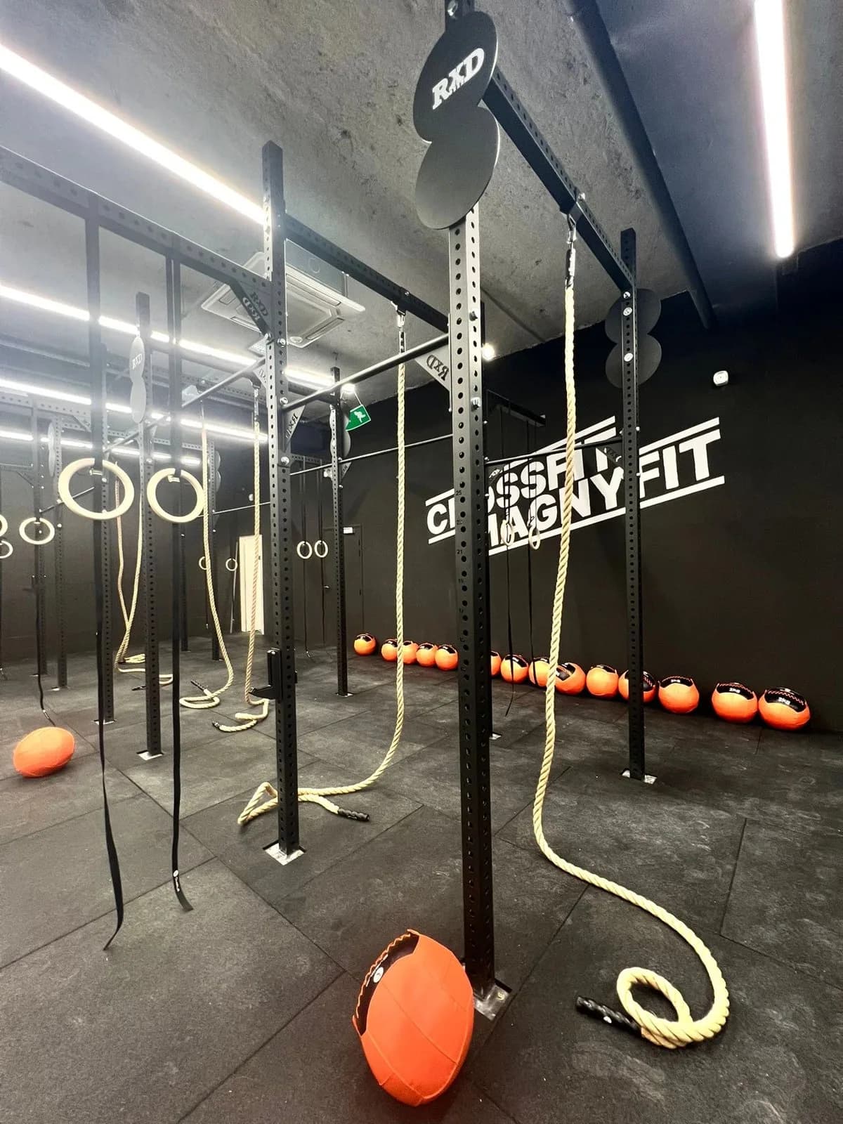 Rig de CrossFit MagnyFit avec cordes, anneaux et wall balls