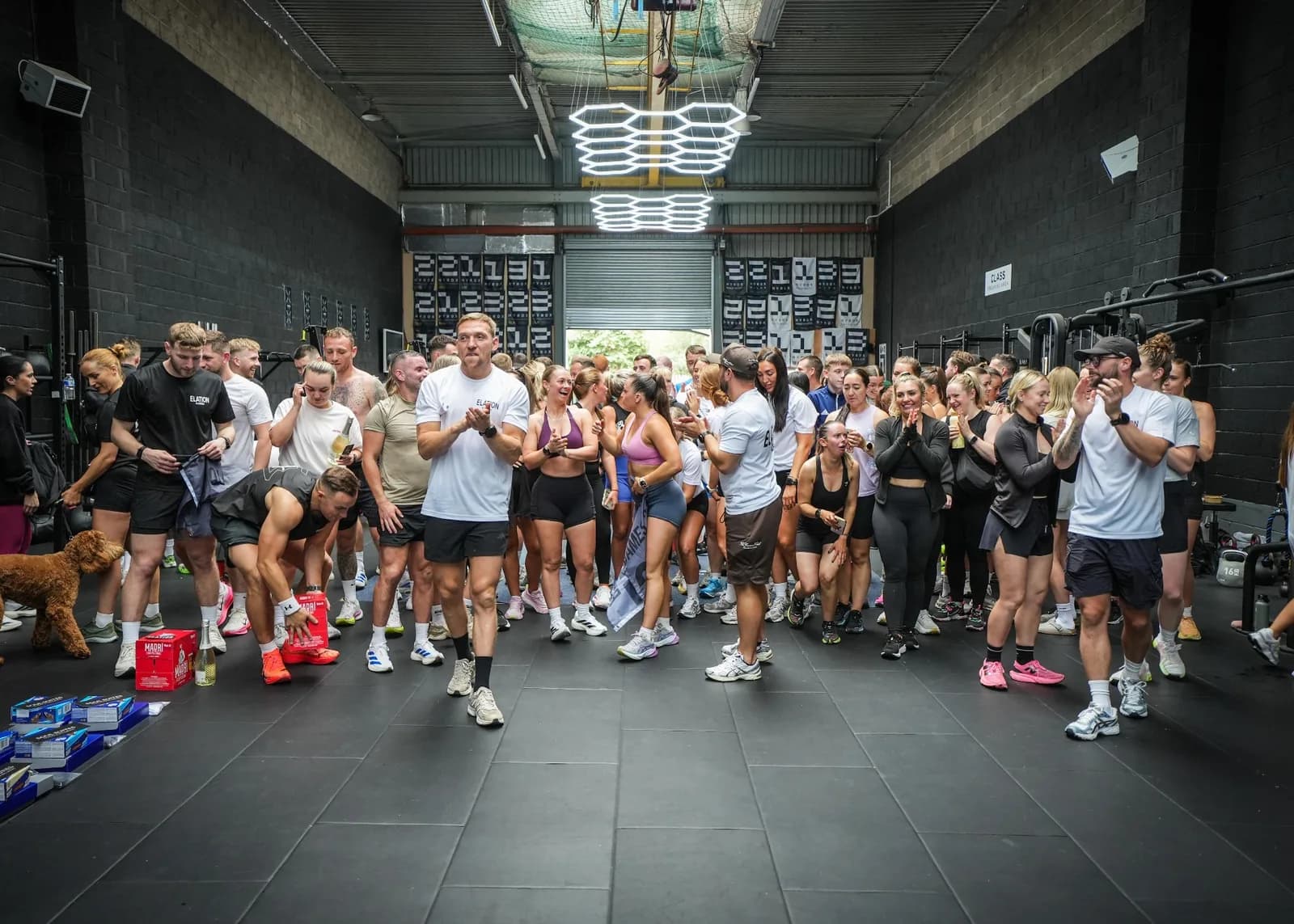 Elation fitness