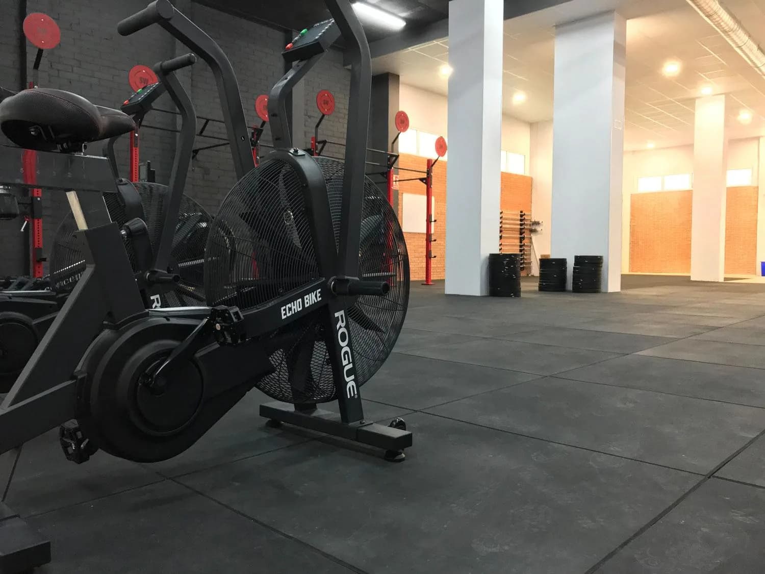 Workout Mas Lluí